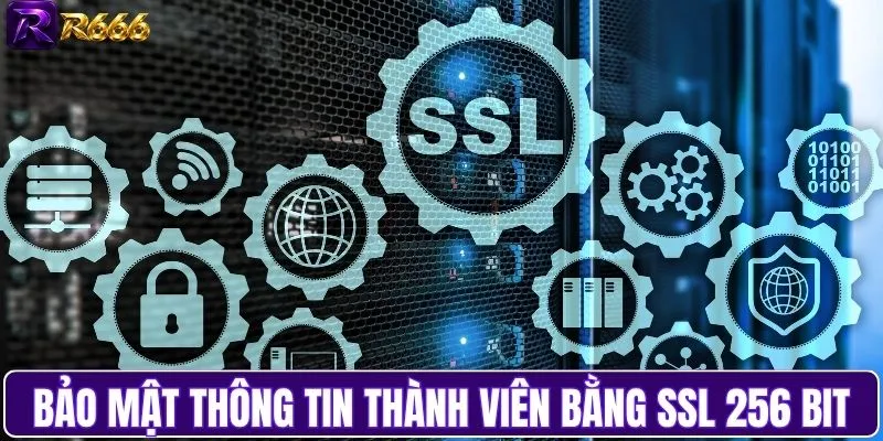 Bảo mật thông tin thành viên bằng SSL 256 bit chuẩn cao cấp