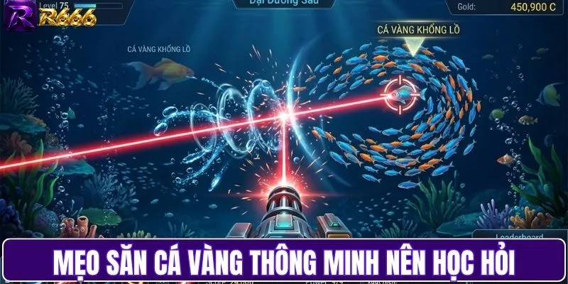 Bí kíp bắn cá vàng thông minh cho người mới chơi