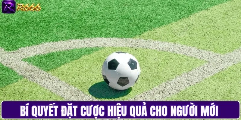 Bí quyết đặt cược hiệu quả cho người mới