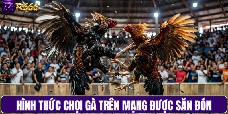 Các hình thức chọi gà mạng được săn đón nhất