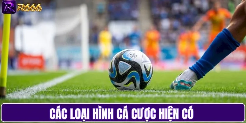 Các loại hình cá cược hiện có