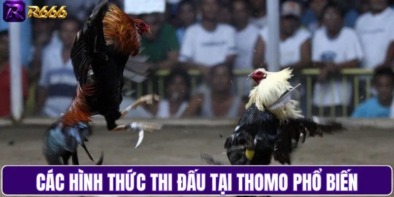 Các thể thức thi đấu phổ biến tại Thomo
