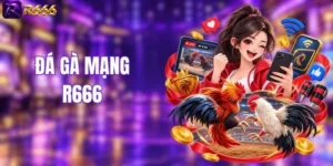 Đá Gà Mạng - Bùng Nổ Kịch Tính Với Các Trận Đấu 24/7