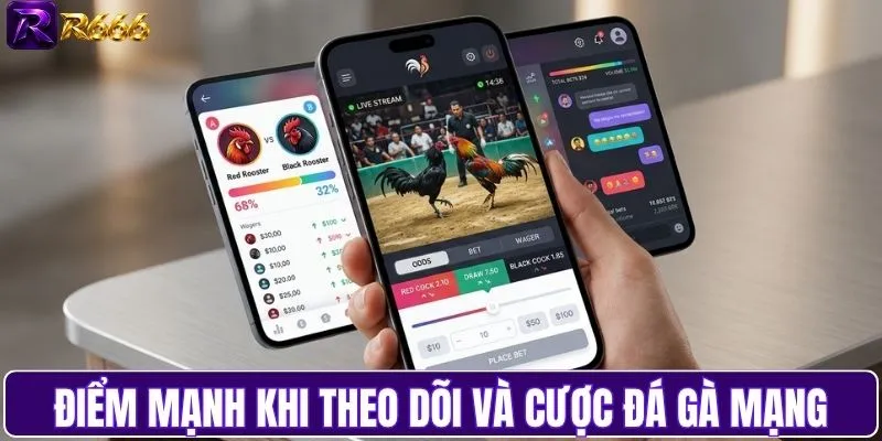 Điểm mạnh khi theo dõi và đặt cược chọi gà qua mạng