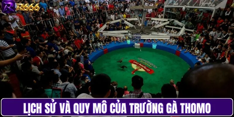 Lịch sử và quy mô của hệ thống trường gà Thomo