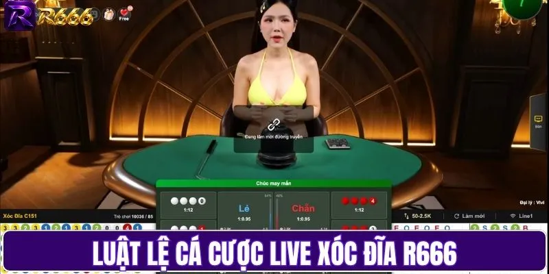 Luật lệ cá cược live Xóc Đĩa R666