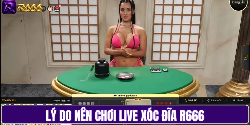 Lý do nên chơi live Xóc Đĩa R666