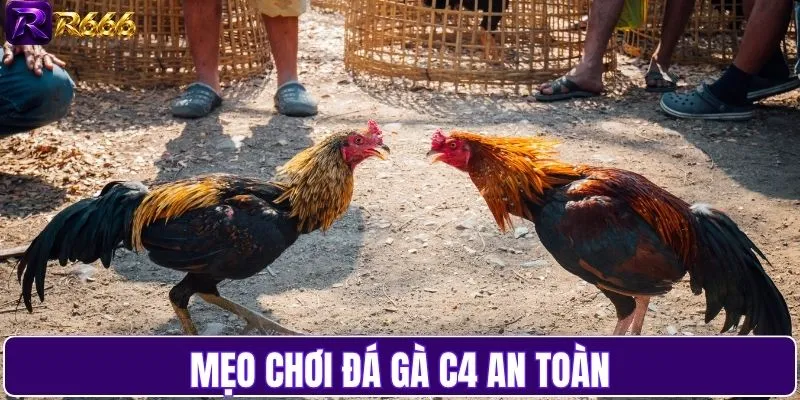 Mẹo chơi đá gà C4 an toàn