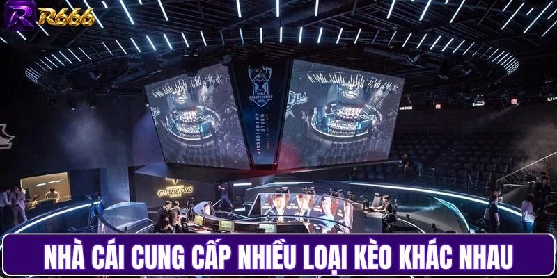 Nhà cái cung cấp nhiều loại kèo khác nhau