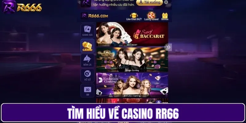 Tìm hiểu về casino RR66